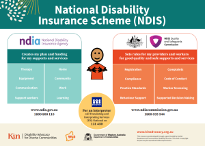 NDIS Structure help sheet.